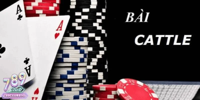 Giới thiệu chung trò chơi bài catte cực hot